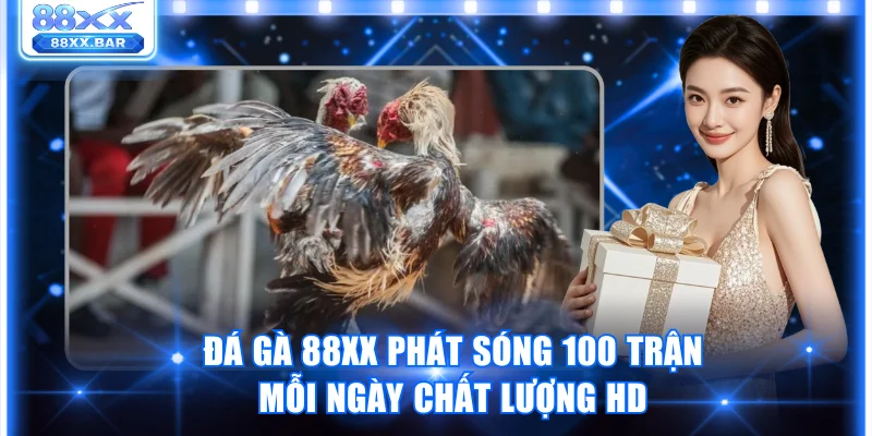 Đá gà 88XX phát sóng 100 trận mỗi ngày chất lượng HD